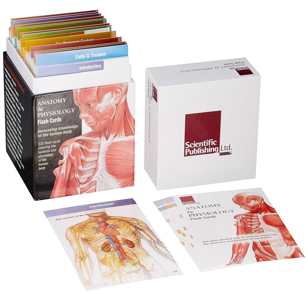 Anatomy Physiology Flash Cards 9781932922974 Medicine Health Science Books Amazon