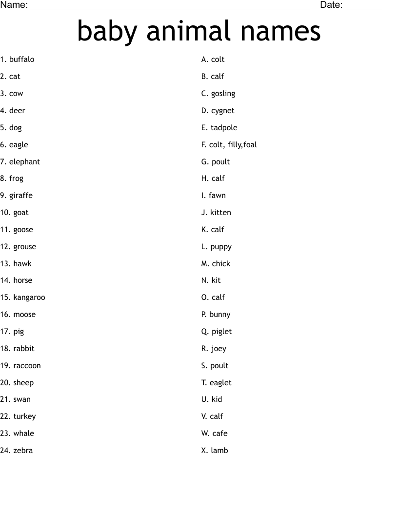 Baby Animal Names Worksheet WordMint