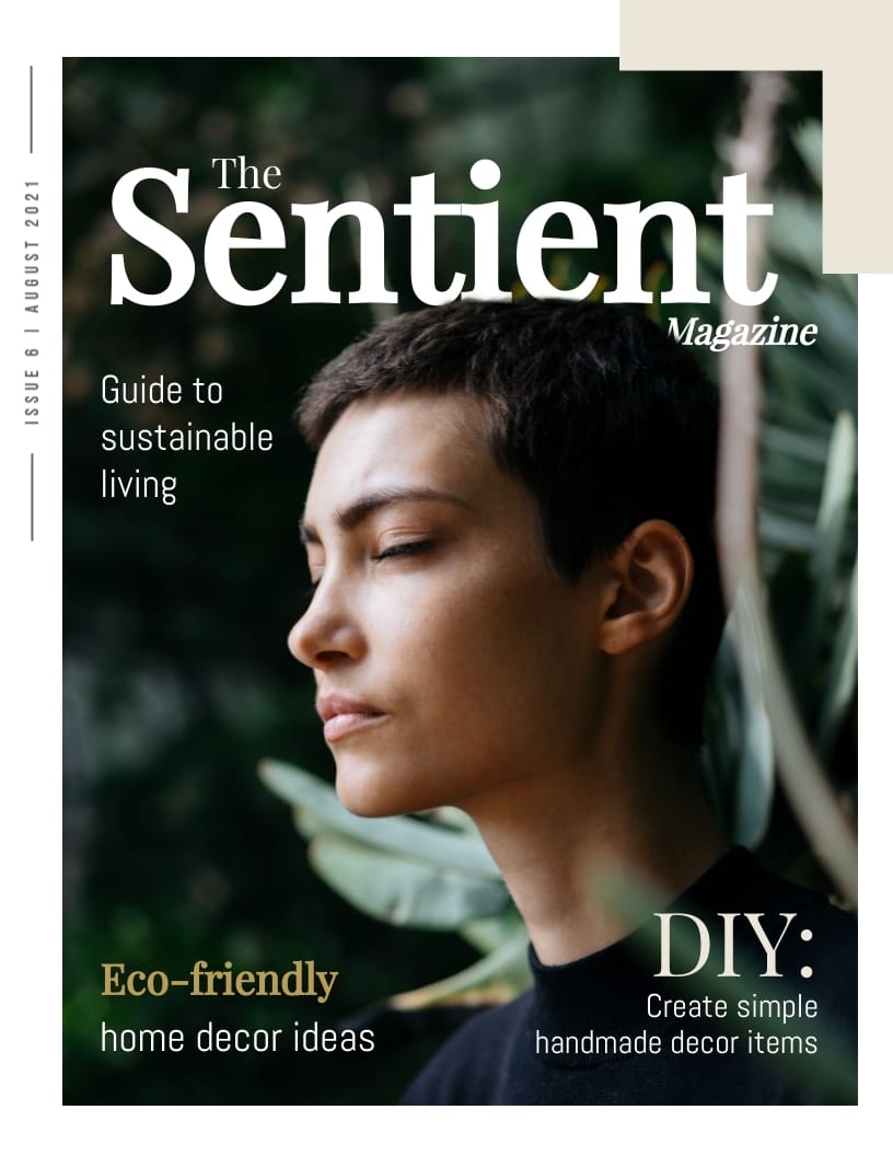 Editable Printable Magazine Free