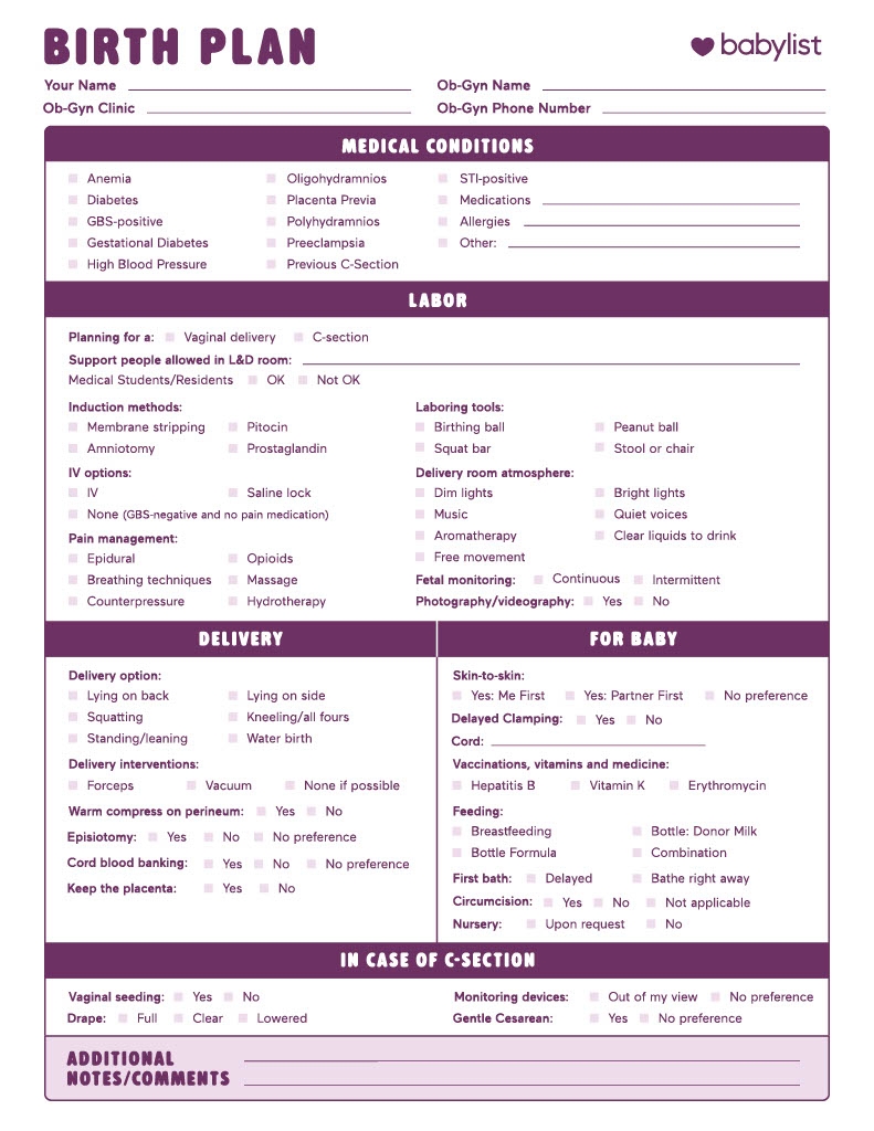 Printable And Editable Birth Plan