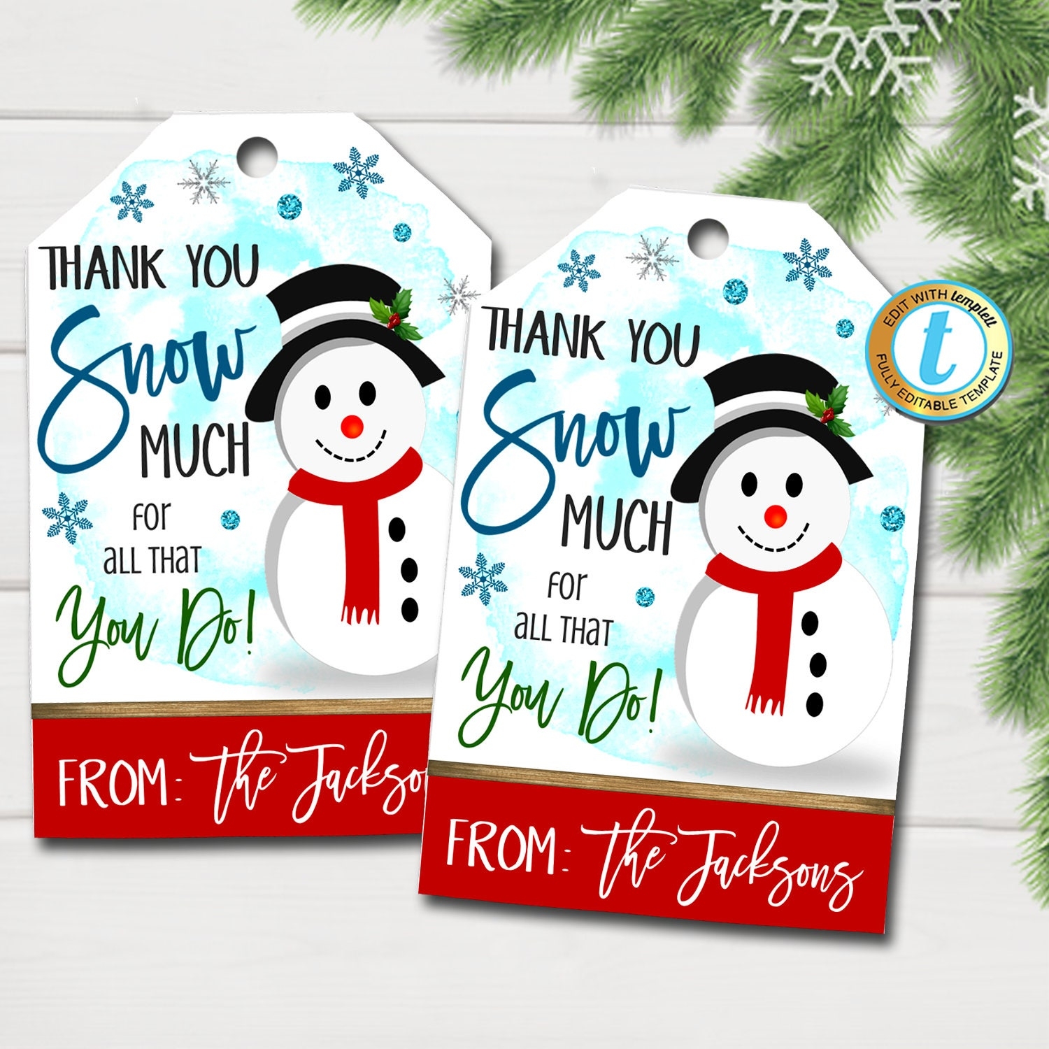 Christmas Gift Tags Thank You Snow Much For All You Do Teacher Staff Employee Holiday Gift Editable Template DIY Self editing Download Etsy