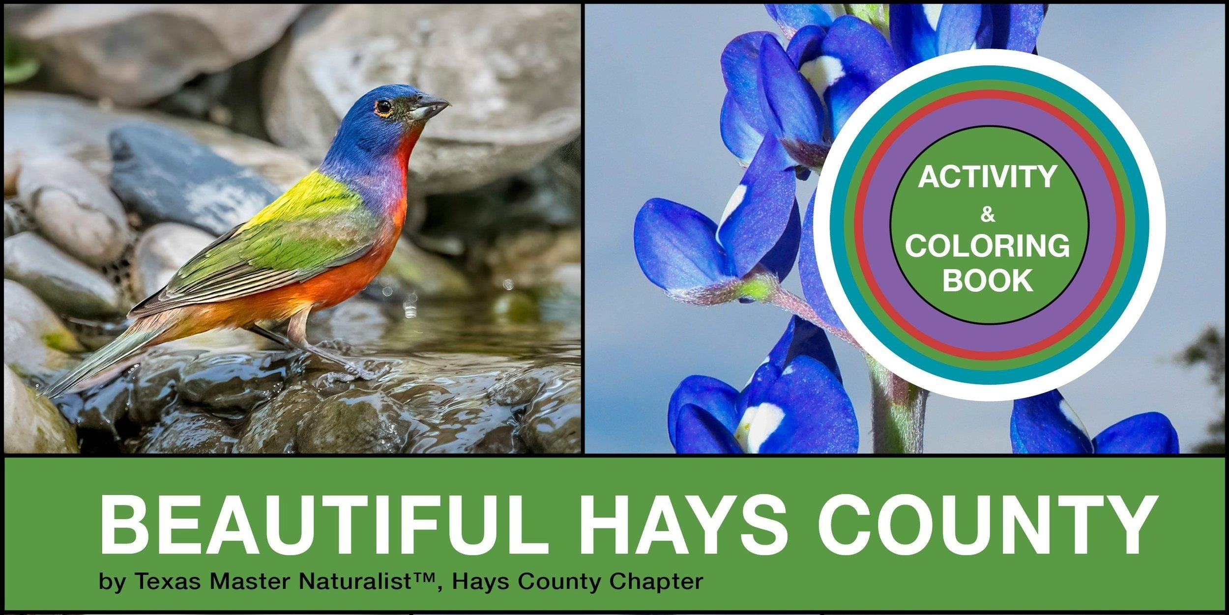 Color Us Beautiful Beautiful Hays County