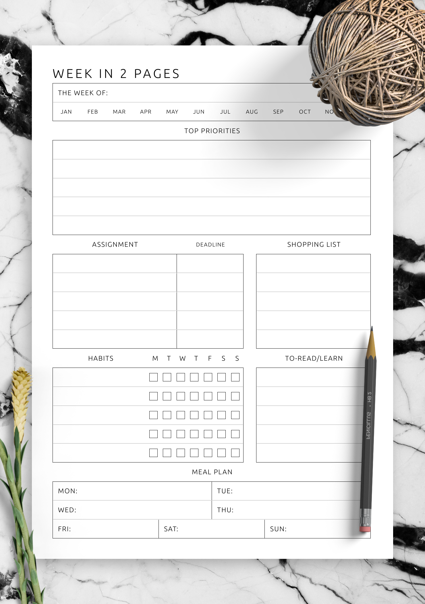 Download Printable Week In 2 Pages Extended Template Minimalist Style PDF