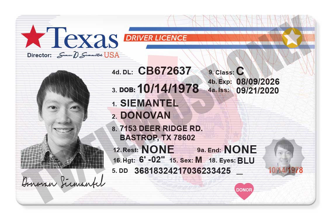Driver s License GENERIC TEMPLATE Hand Prop Room