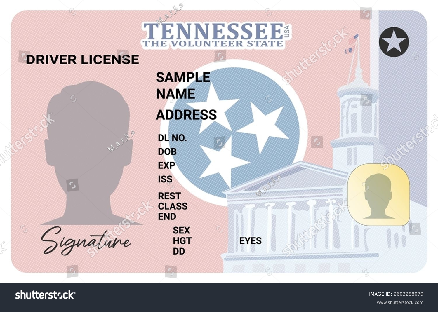 I Need A Editable Printable Texas Driver Liocense
