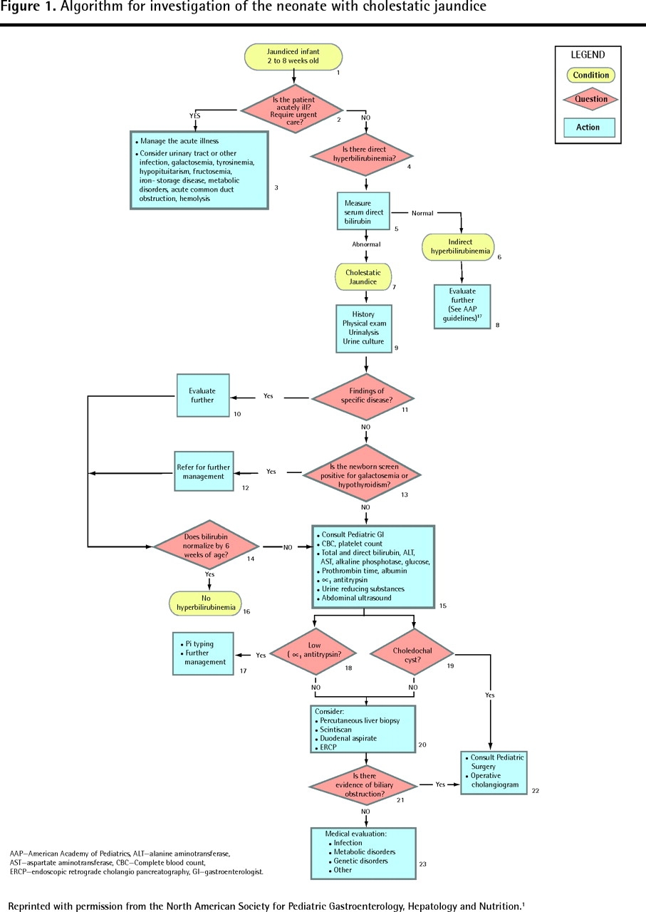 Early Diagnosis Of Neonatal Cholestatic Jaundice The College Of Family Physicians Of Canada