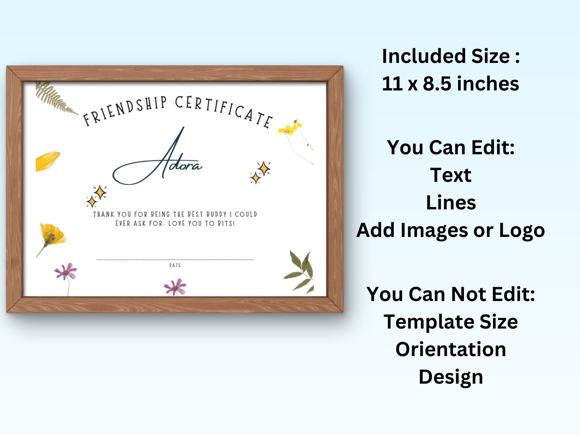 Editable Best Friend Forever Certificate Template Personalized Gift For Friend Best Friend Award Friendship Gift Certificate Download Jet Etsy