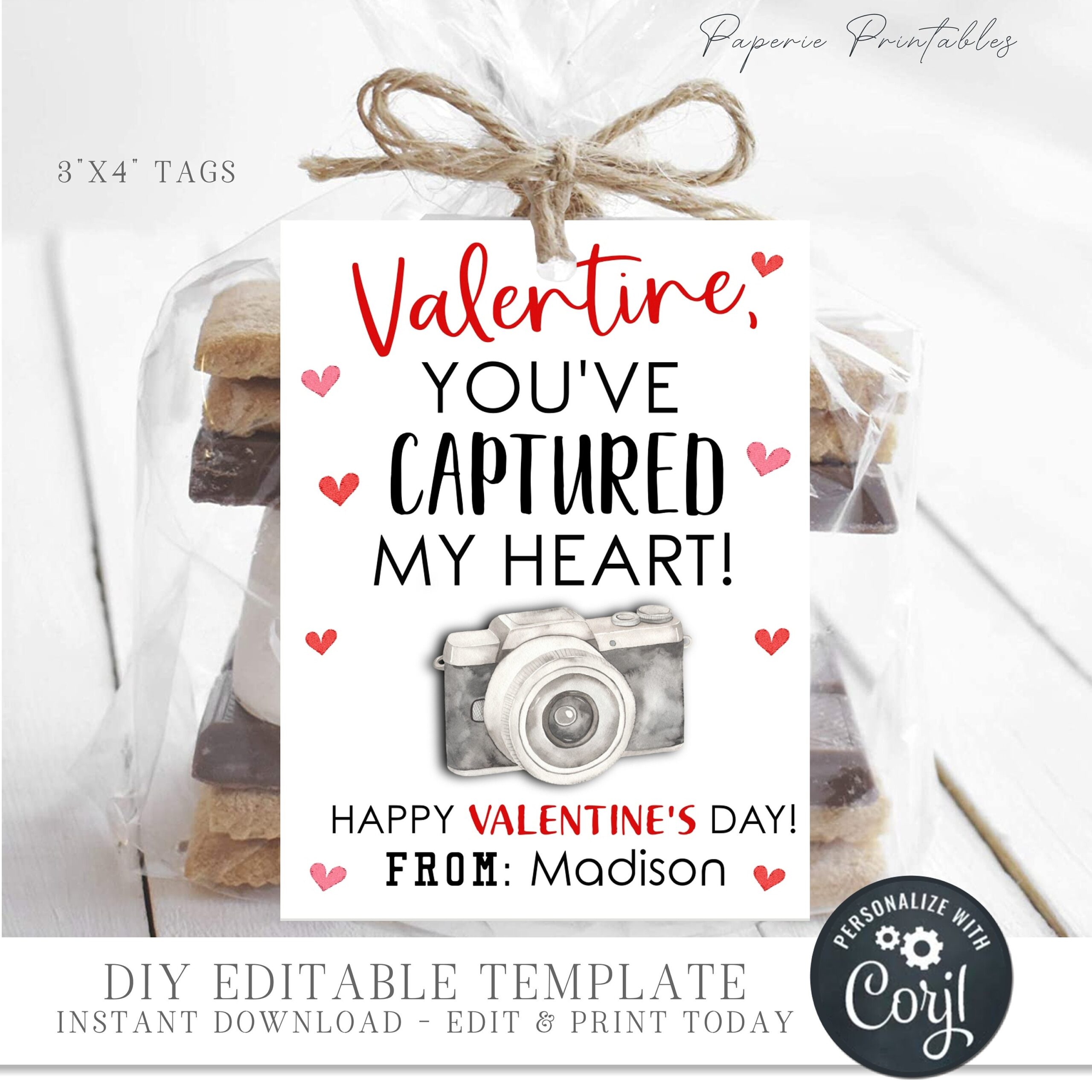 EDITABLE Photography Valentine Cards Camera Valentine Cards Photographer Valentine Tags Printable Valentines DIY With Corjl VT94 Etsy