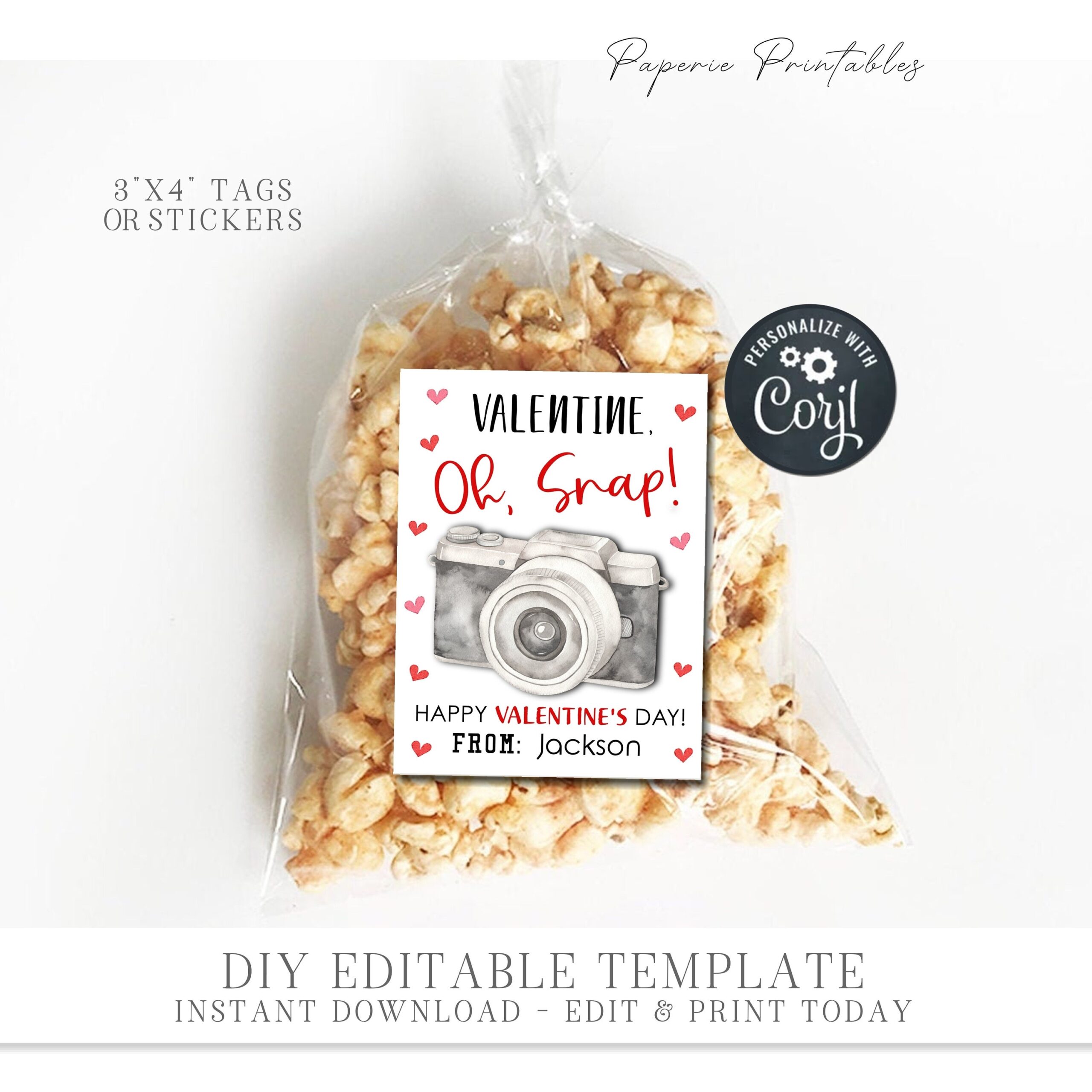 EDITABLE Photography Valentine Cards Camera Valentine Cards Photographer Valentine Tags Printable Valentines DIY With Corjl VT94 Etsy