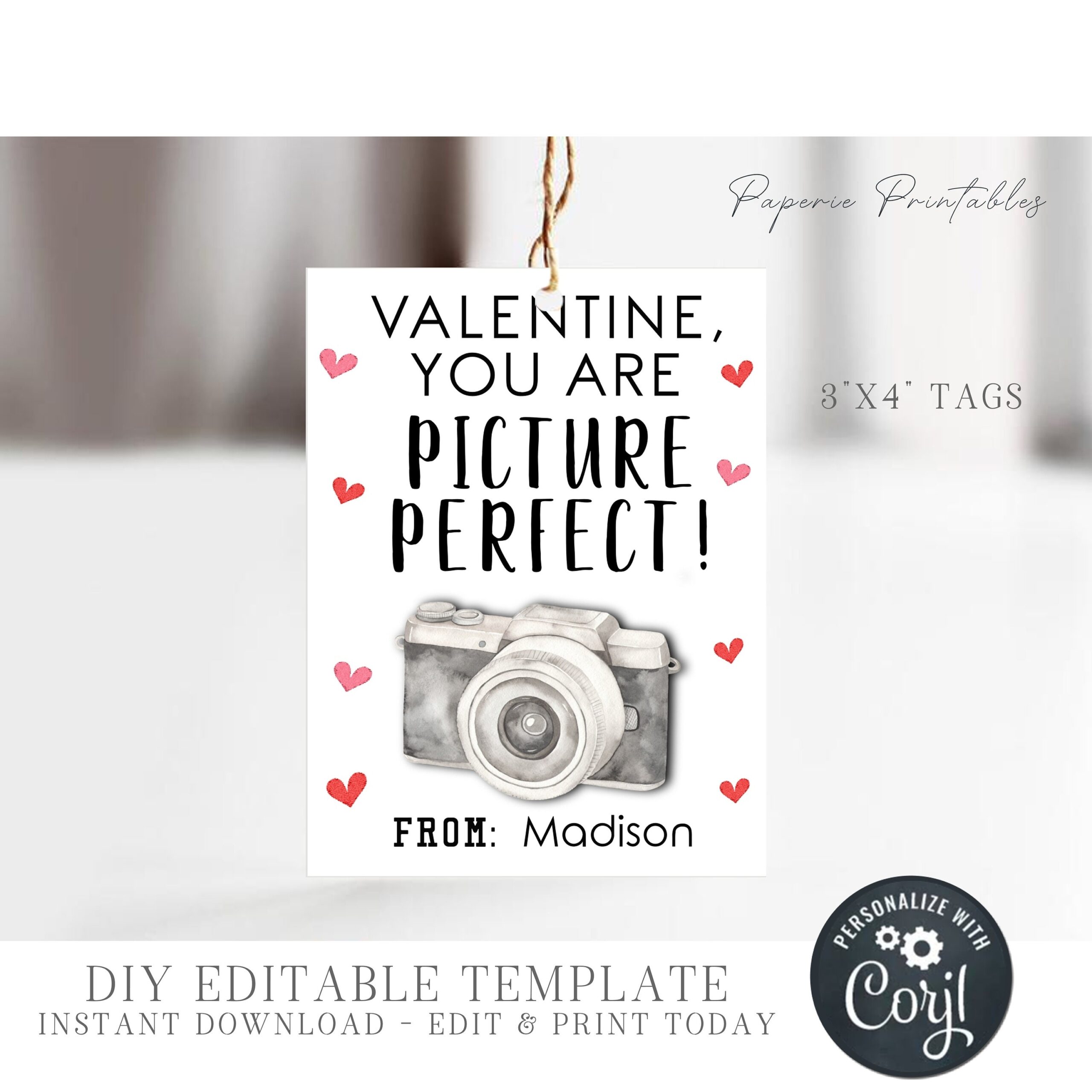 EDITABLE Photography Valentine Cards Camera Valentine Cards Photographer Valentine Tags Printable Valentines DIY With Corjl VT94 Etsy