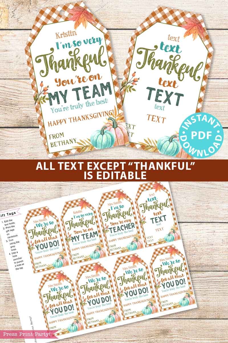 Editable Thanksgiving Gift Tags Printable Thankful Gingham Press Print Party 