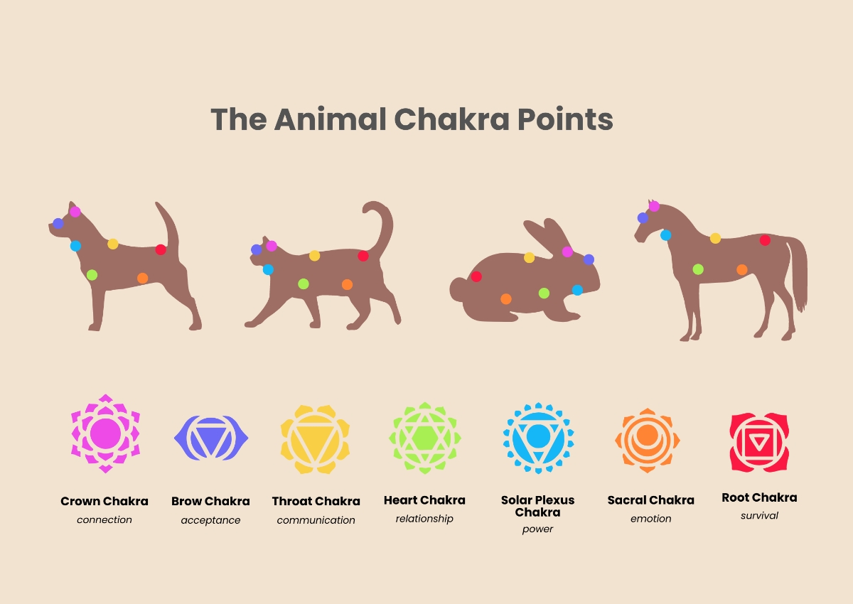 Free Chakra Chart Templates Editable And Printable