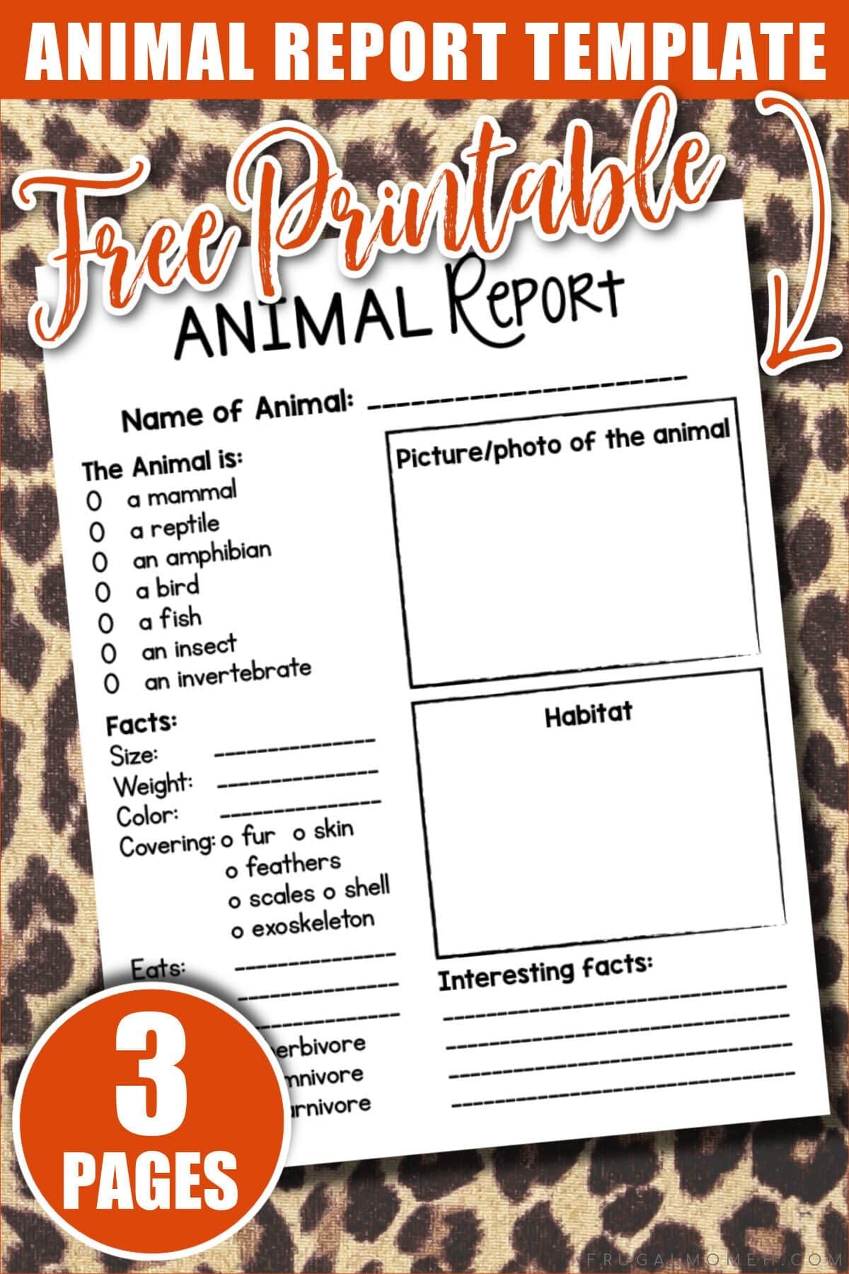 The Tough Kid Book 2nd Edition Printables