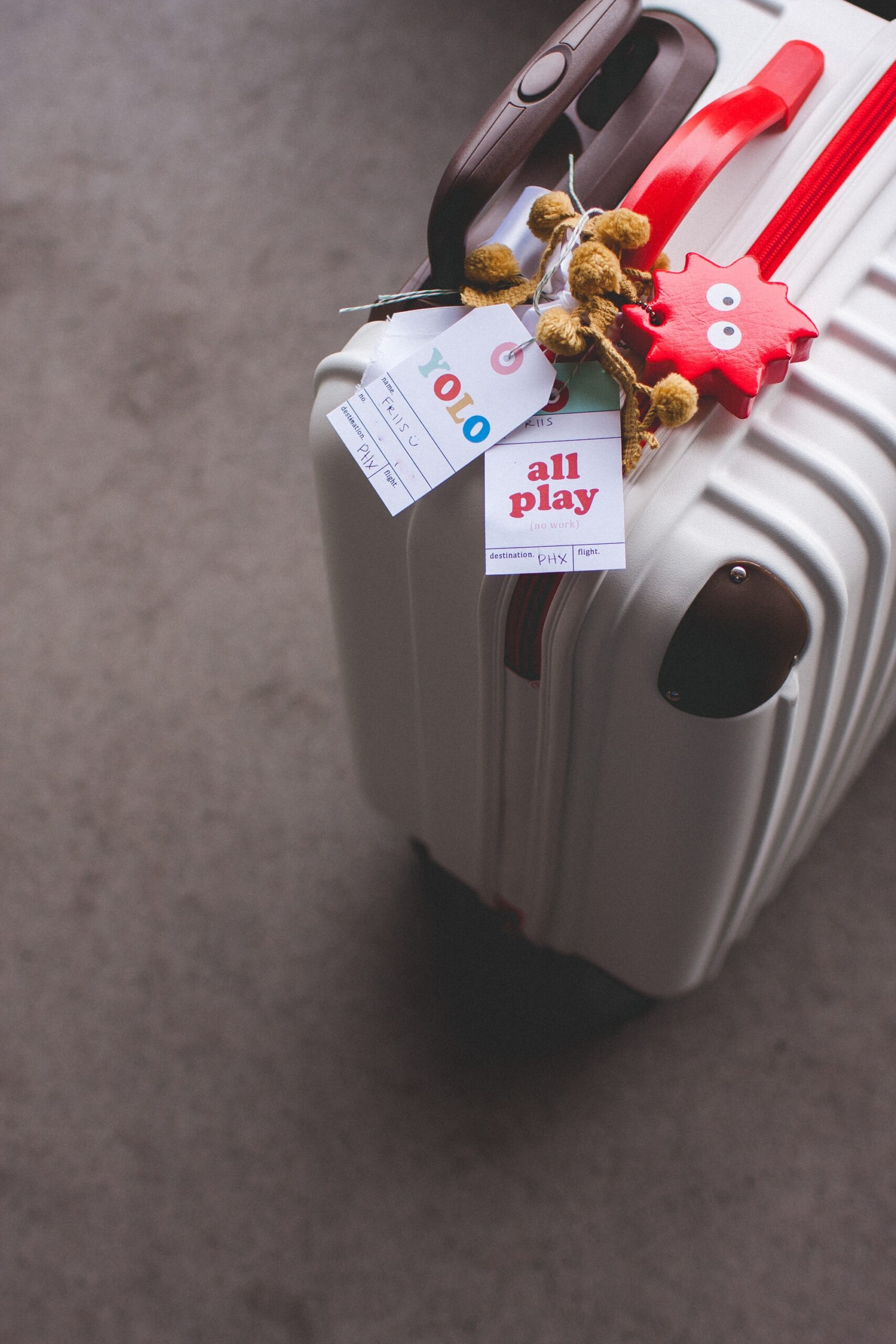 Printable Editable Luggage Tags