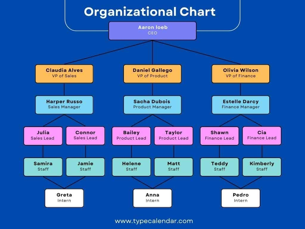 Printable And Editable Organizational Chart