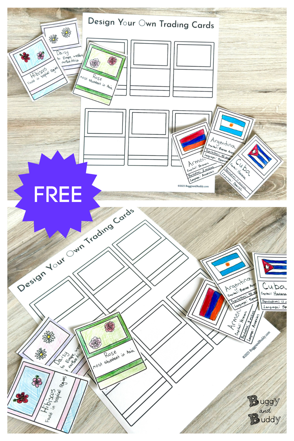 Trading Cards Printable Editable