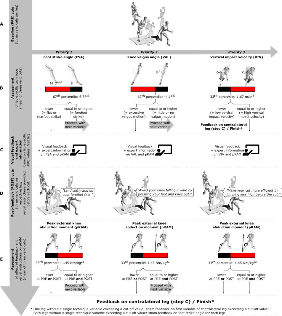 Individualized Technique Feedback For Instant Technique Improvements And Knee Abduction Moment Reductions A New Approach For Sidestepping ACL Injuries Published In International Journal Of Sports Physical Therapy