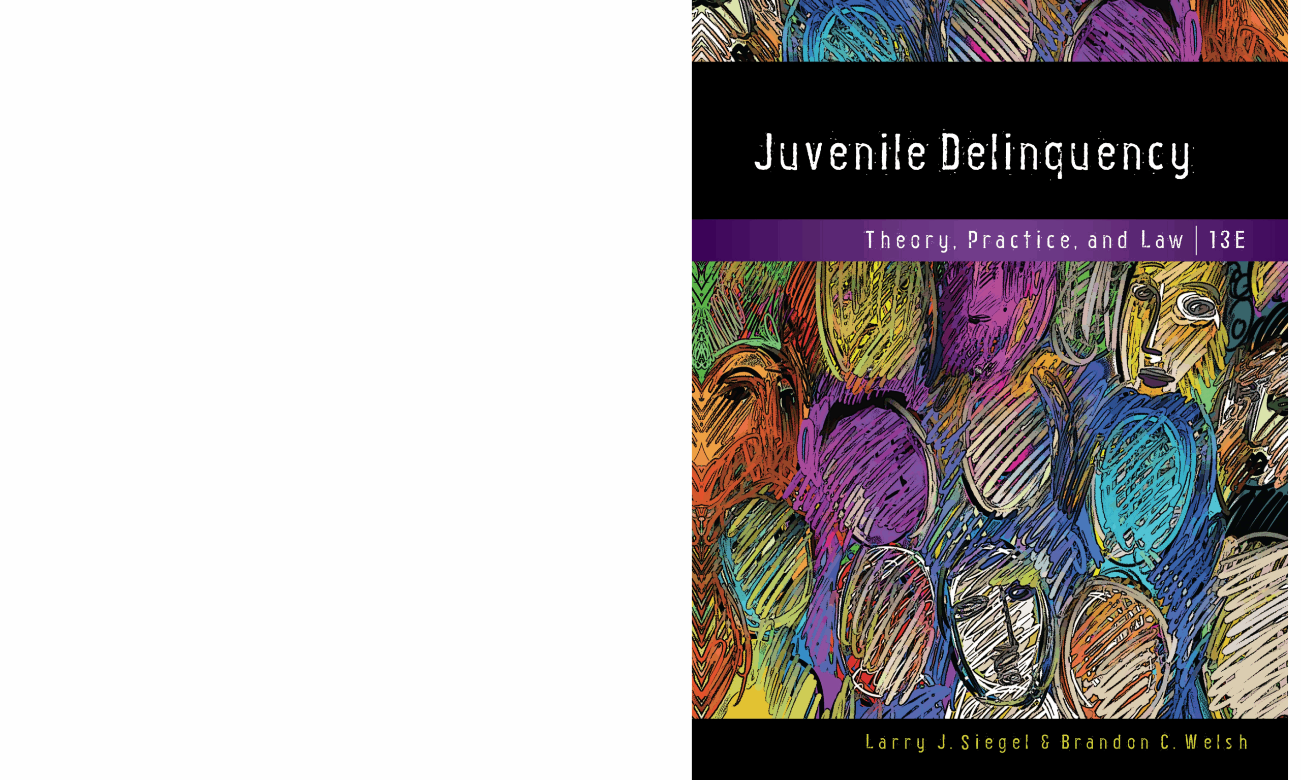 Juvenile Delinquency Theory Practice And Law