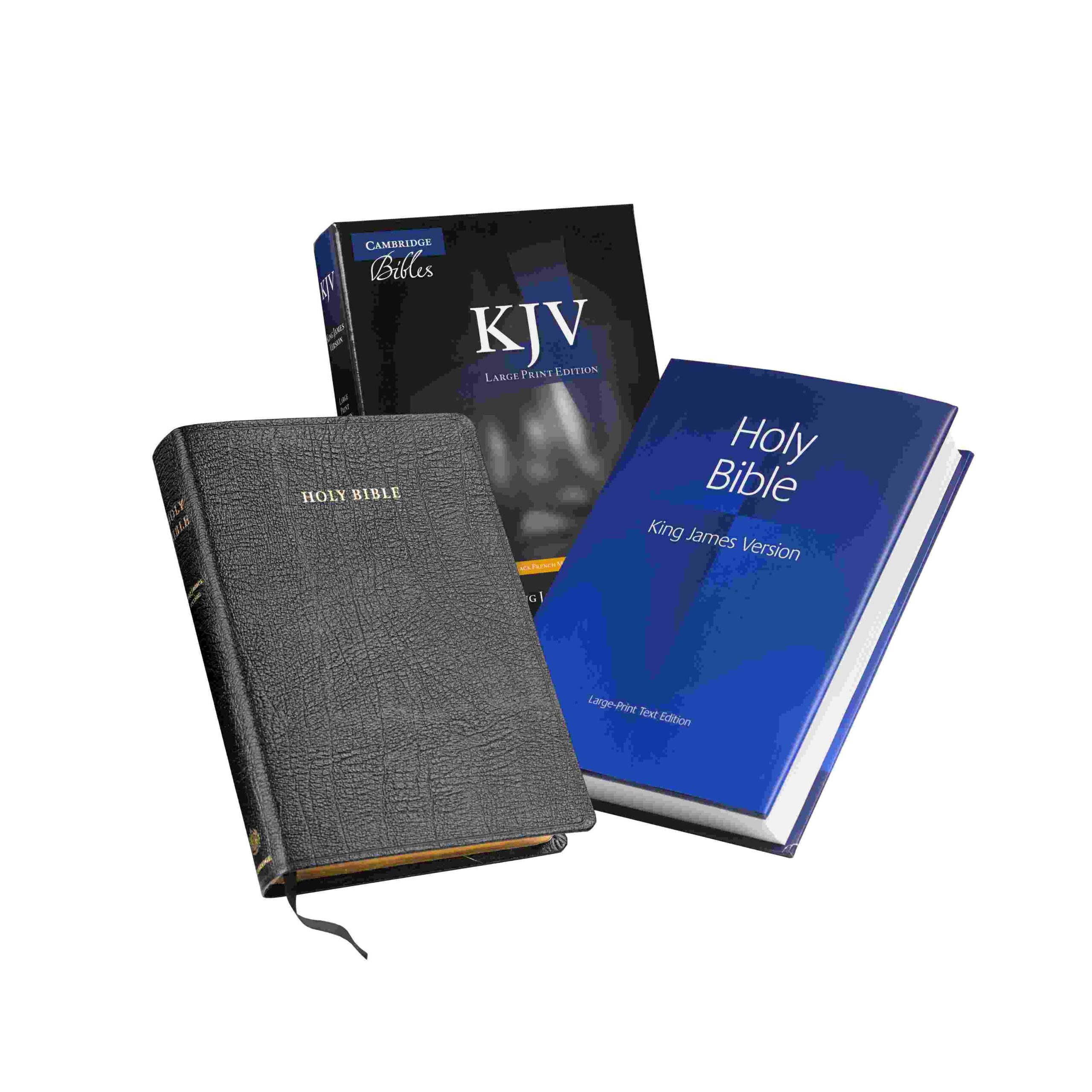 Large Print Text Edition Cambridge University Press