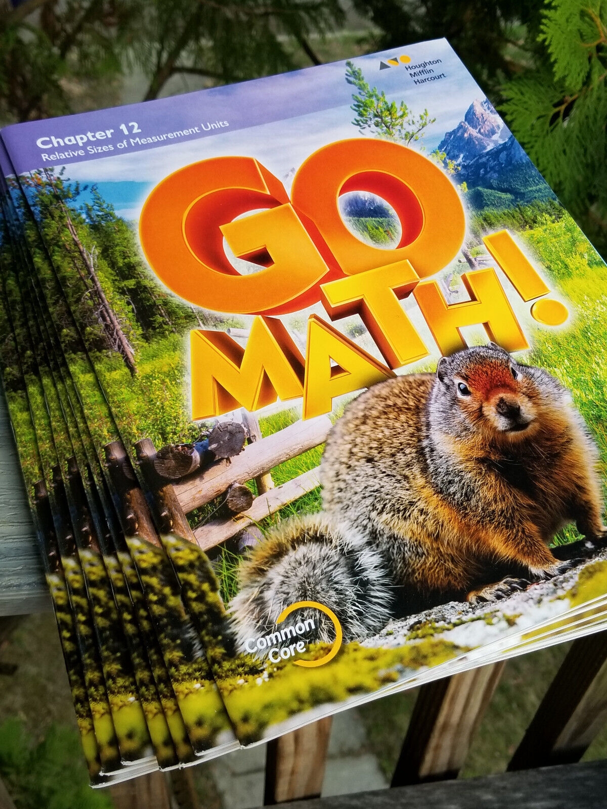 LOT OF 8 GO MATH GRADE 4 EDUCATIONAL BOOKS STUDENT CHAPTER 12 Worksheets Library
