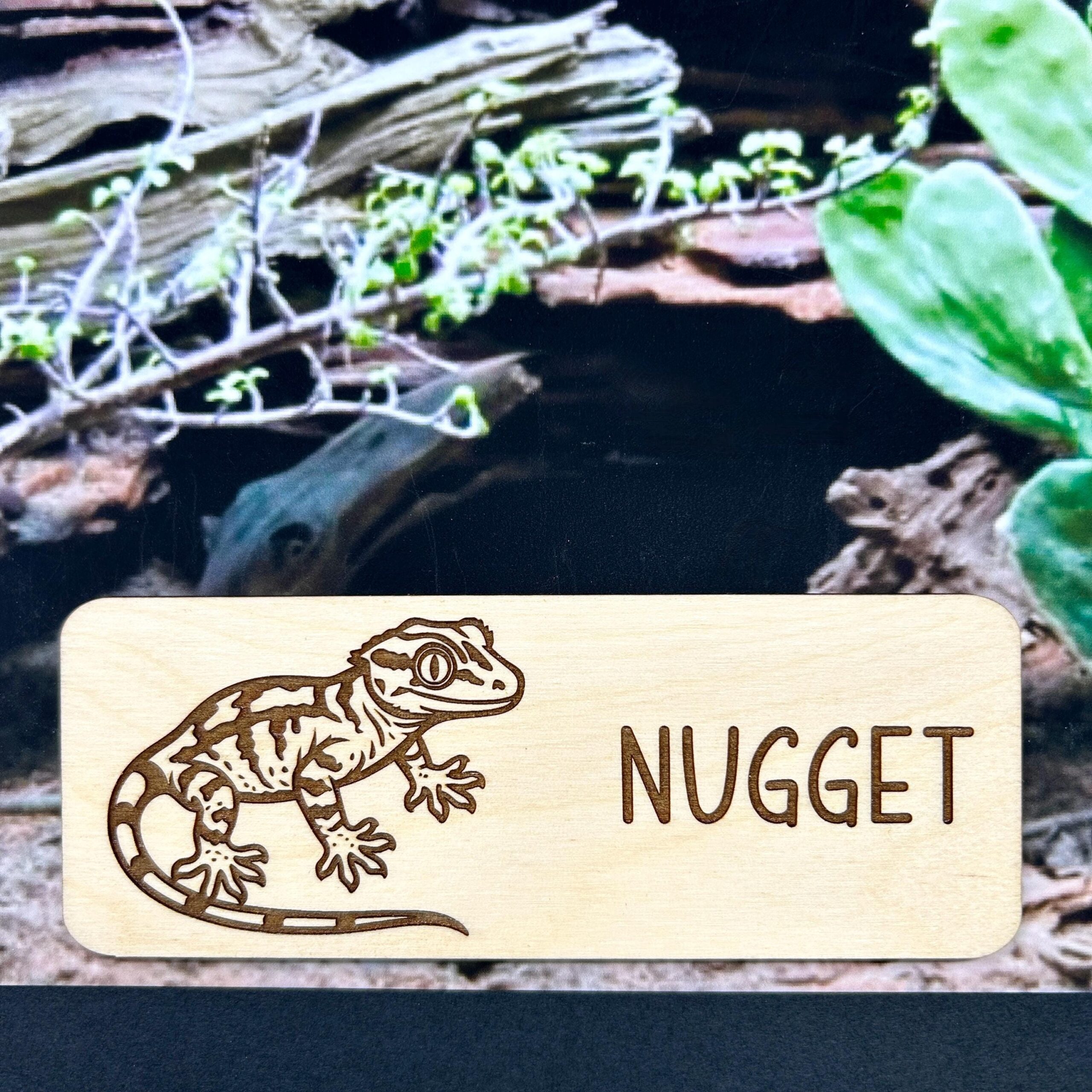 Reptile Name Tags Etsy