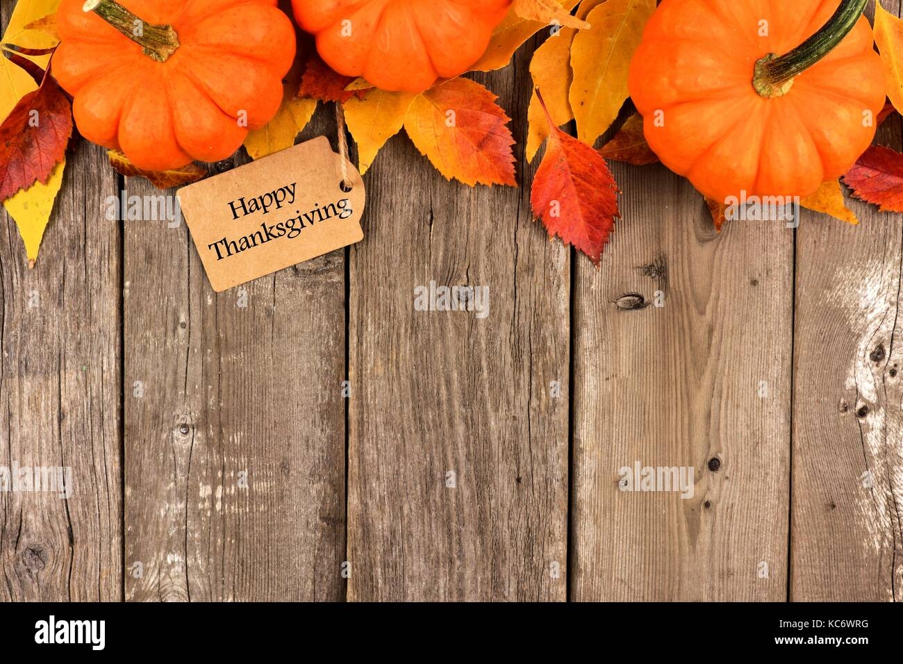 Printable Letters For Thanksgiving Boarders That You Can Edit