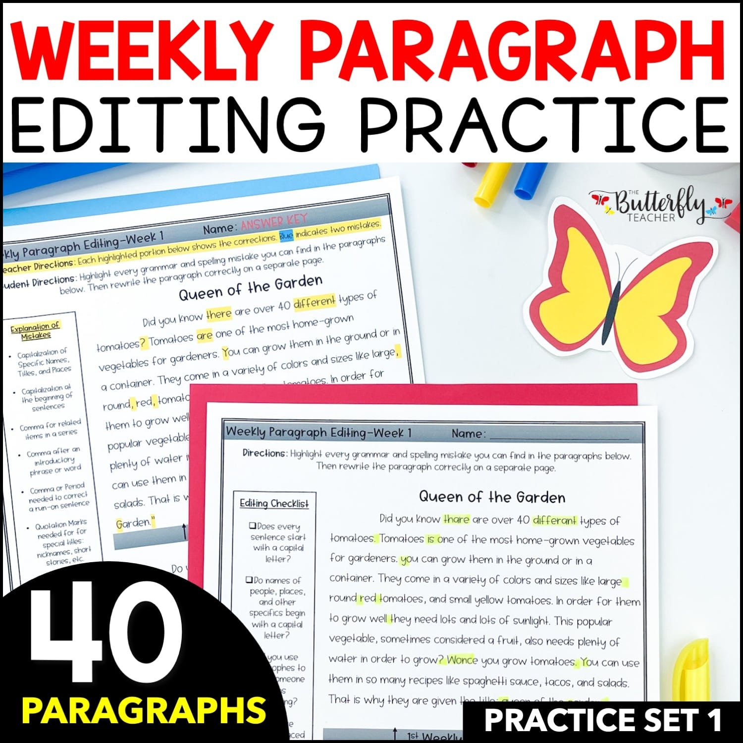 Printable Paragraphs For Revising And Editing