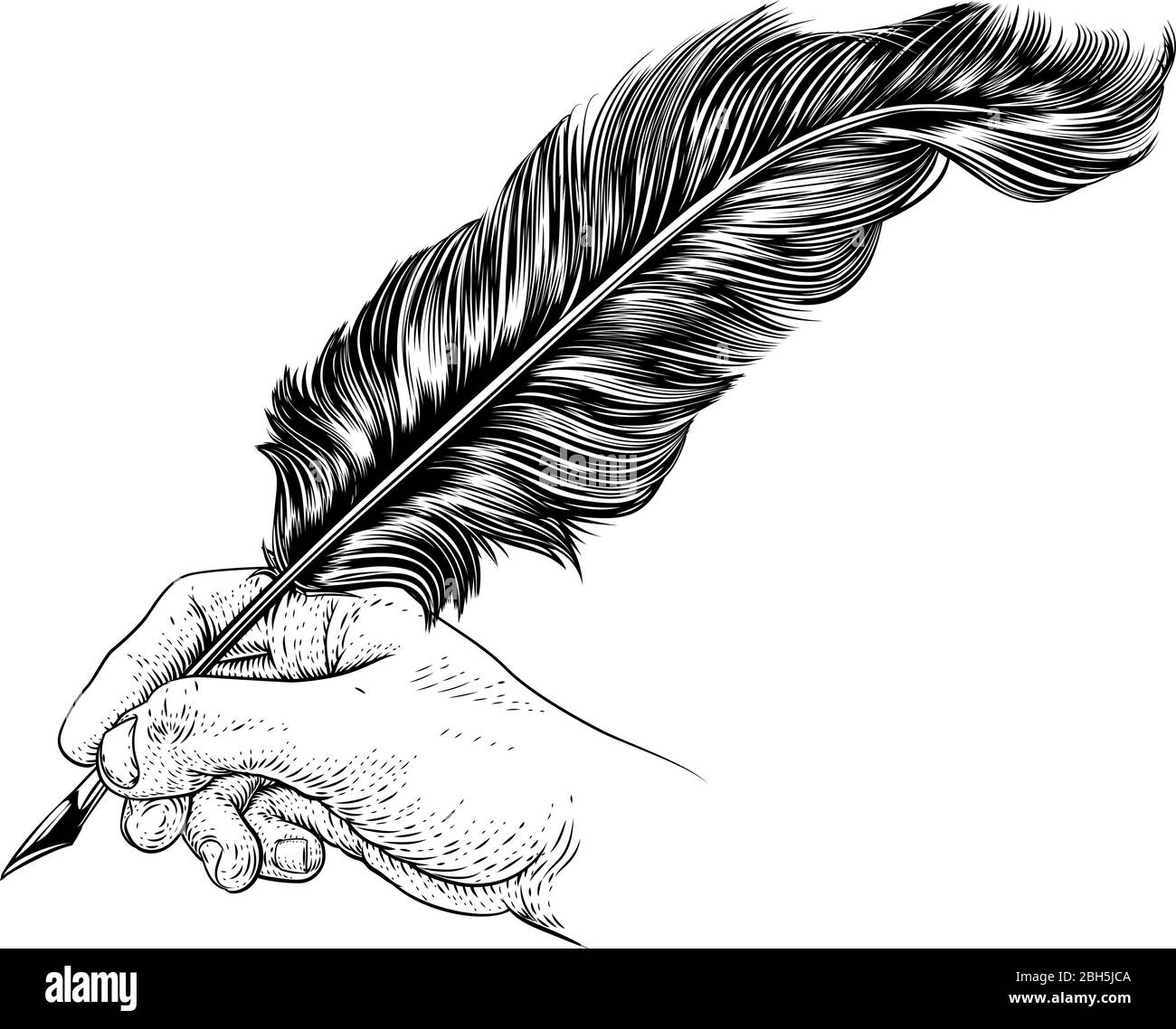 Writing Quill Vector Vectors Cut Out Stock Images Pictures Page 2 Alamy