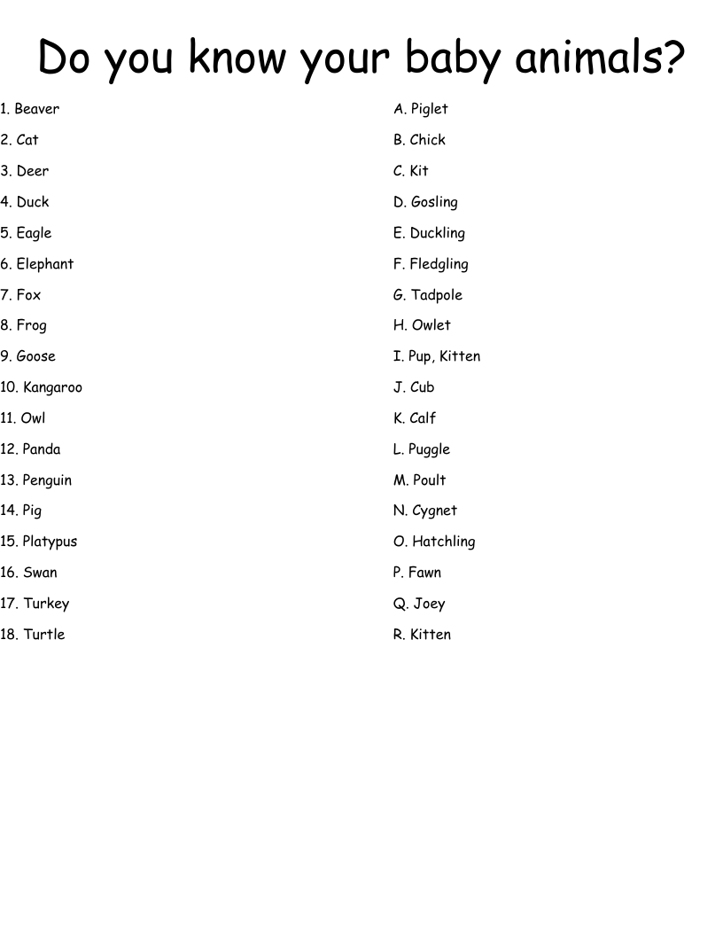 Baby Animal Names Worksheet WordMint