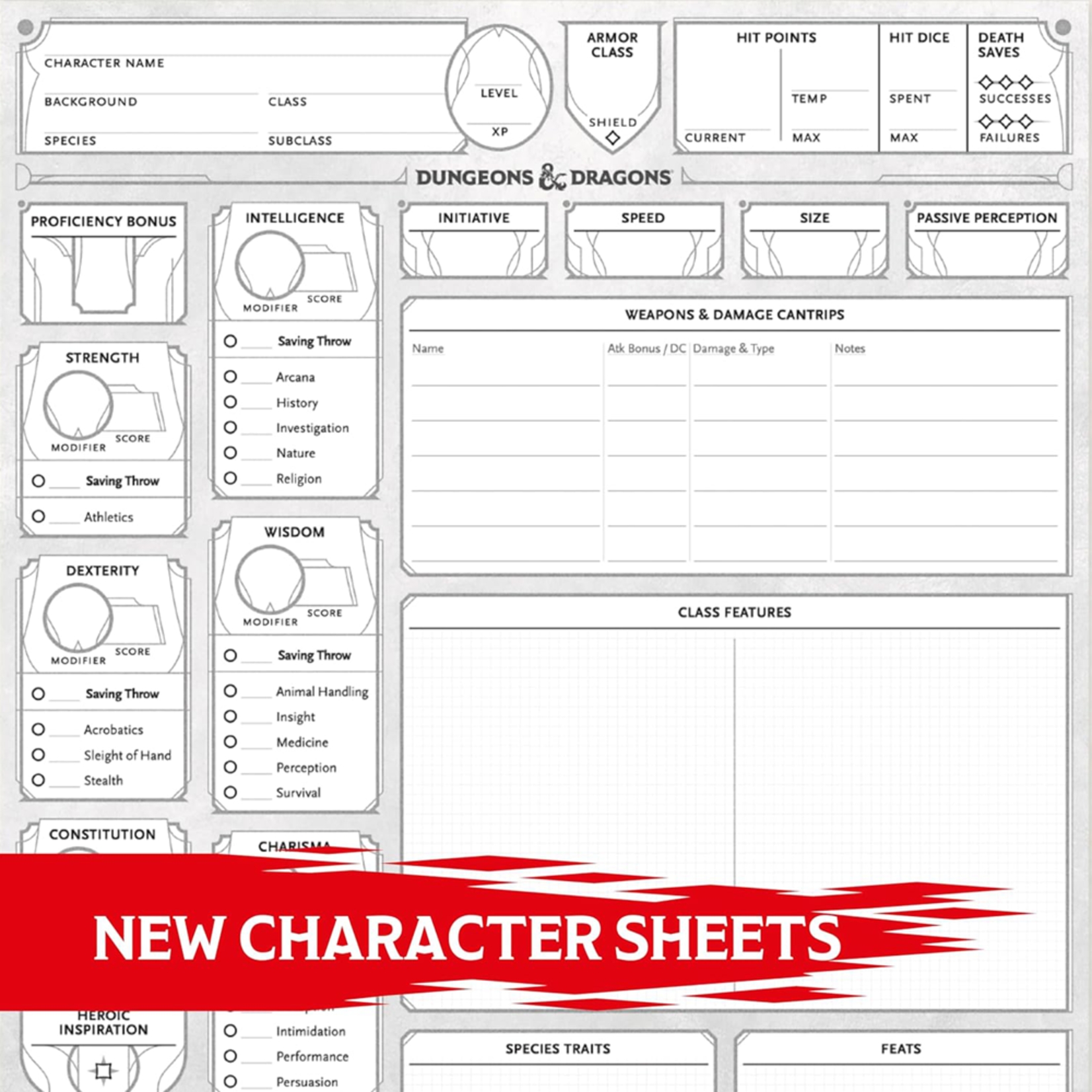 D D 5th Edition Character Sheet Front And Back Printable