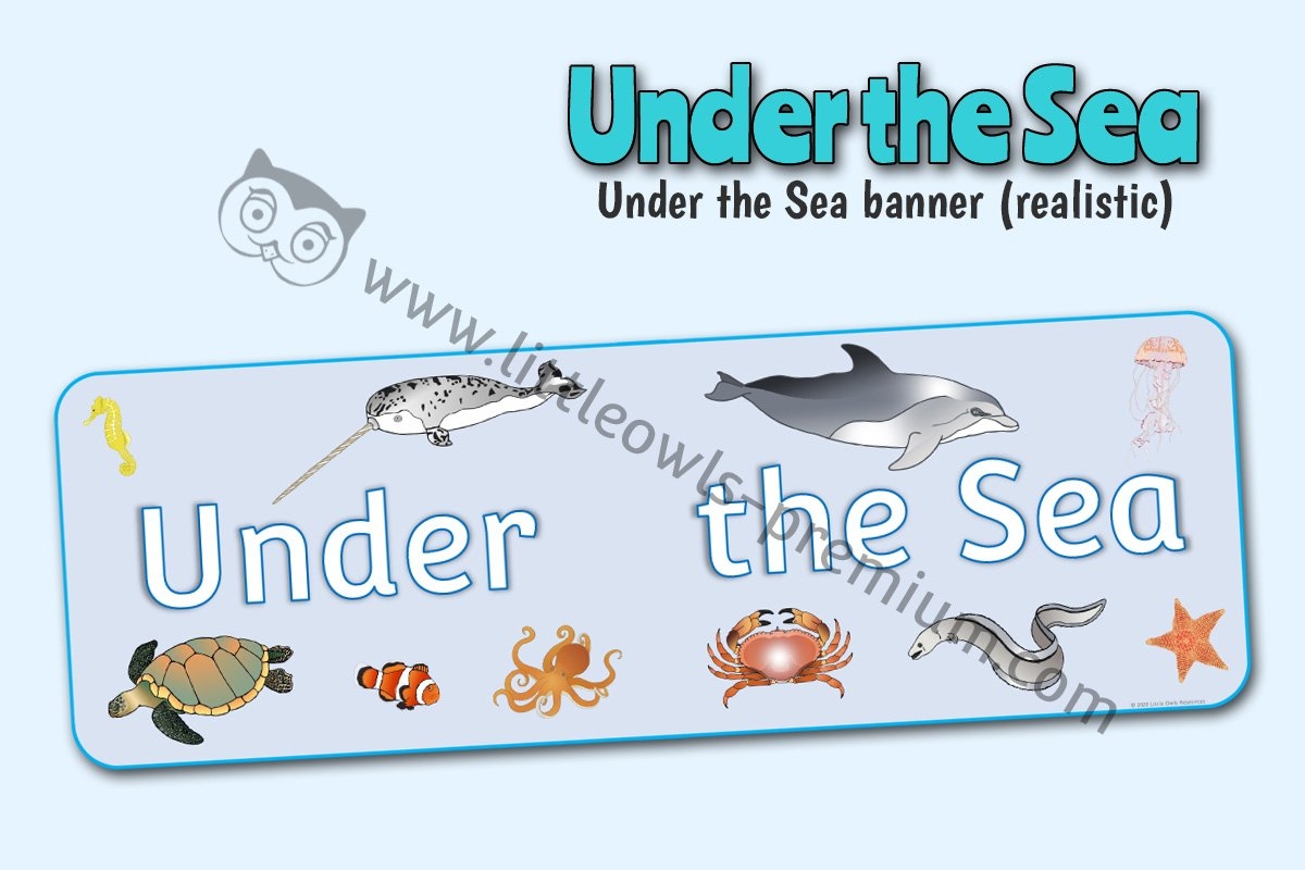 FREE And PREMIUM Under The Sea Early Years EYFS Editable Printable Resources Activities Little Owls Resources Free And Premium Early Years Printables