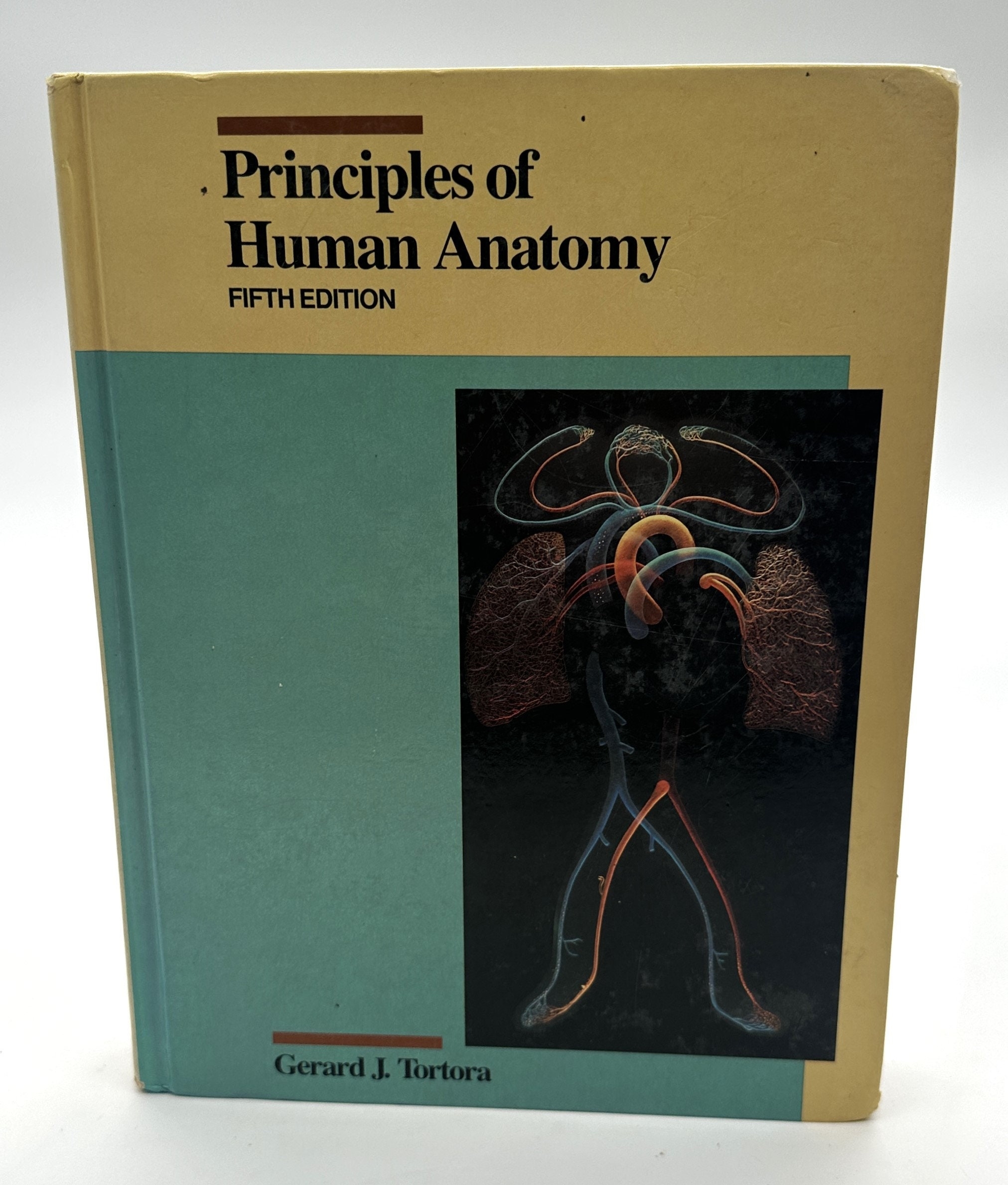 Principles Of Anatomy And Physiology Etsy