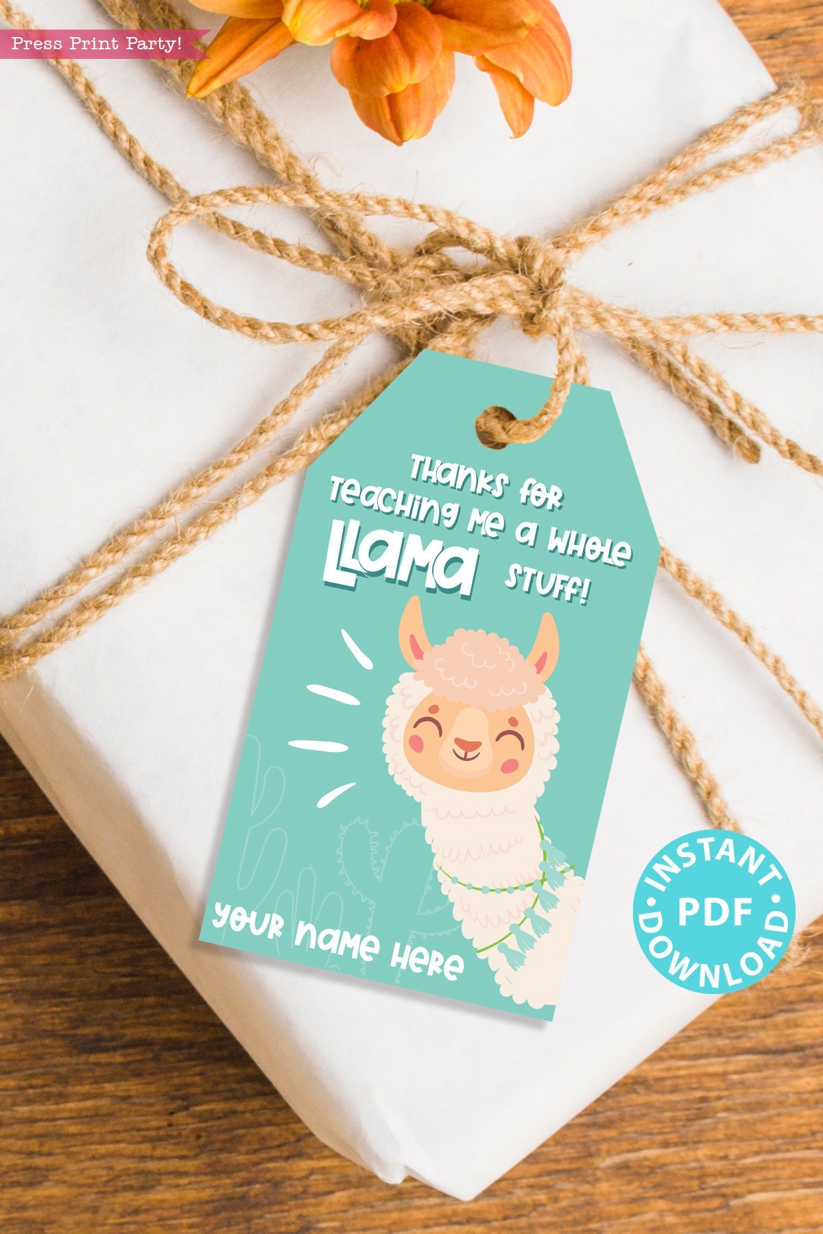 Free Editable Printable Llama Backpac Labels